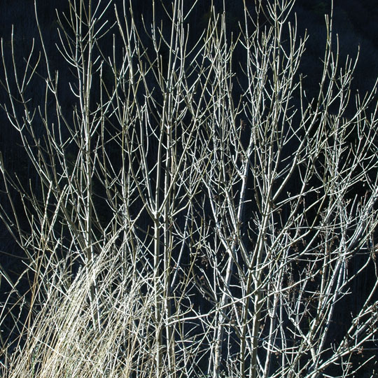 C B5 - Bauges 004