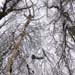 C B2 - DSC_3076