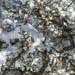 C B4 - DSC_3257