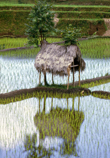 indonesie001